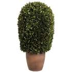   Floral Faux 11Dx24H Preserved Boxwood Ball Topiary in Pot Green