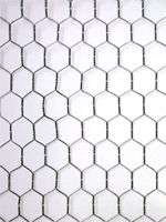 50 x 24 Roll Galvanized Steel Chicken Wire 2 Hex  