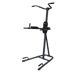  Elite Fitness 5 Station Power Tower: Sports & Outdoors