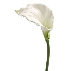  Faux 36 Calla Lily Stem White (Pack of 12): Patio, Lawn 