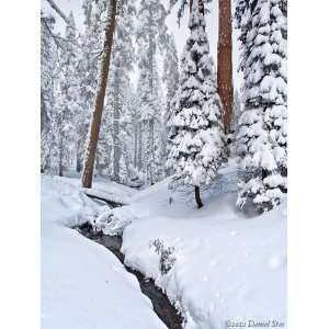  TREES Winter Snow River Landscape CANVAS PICTURE PRINT #9490a (Small 