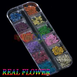 12 pcs Real Dry Dried Flower Nail art Tips Decoration  