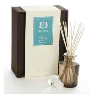  Aquiesse Blue Agave Reed Diffuser