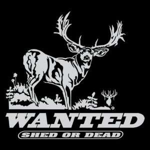  Wanted Shed or Dead   Mule Deer Window Decal: Automotive