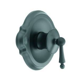   TS310WR Waterhill Posi Temp Tub/Shower Valve Only Faucet, Wrought Iron
