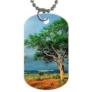  Scenic Nature Photo Dog Tag with 30 chain necklace Great 