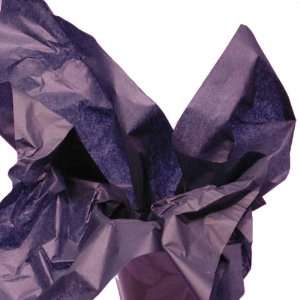   Blue Wrap Tissue Paper 20 X 30   48 Sheets: Health & Personal Care
