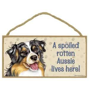 Australian Shepherd  A spoiled your favoriate dog breed lives here 