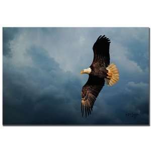 Eagle in the Sky by Lois Bryan, Canvas Art   22 x 32  