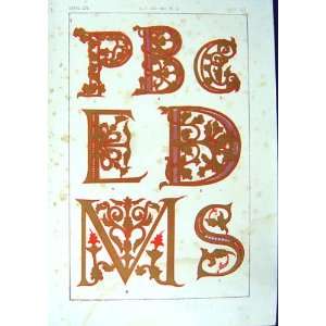   : 1860 Art Illuminating Alphabet Letters Calligraphy: Home & Kitchen