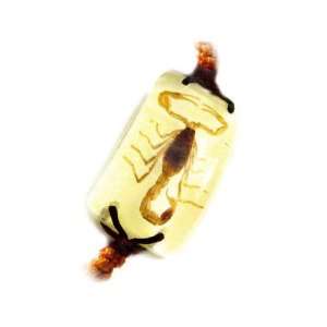    Real Insect Bracelet Golden Scorpion (Big & Glows) 