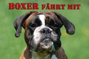 Deutscher Boxer Hund Hunde Welpen Aufkleber 15x20 cm  