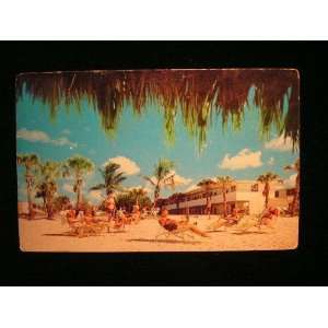  Beach Hotel, Sarasota, Florida 1950s Postcard not applicable Books