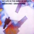 13. My Life in the Bush of Ghosts von Brian Eno