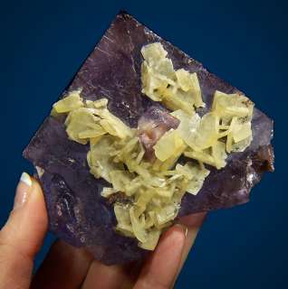 75 Purple Blue FLUORITE Crystals + White BARITE   IL  