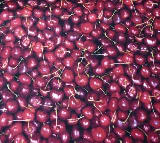 Patchwork Stoff Farmers Market   Cherries ~ Kirschen ~ Baumwolle 