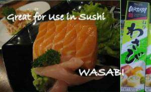 Japanese Wasabi Horseradish paste in tube 1.52 oz Japan  