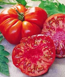 Organic Tomato  Big Boy seeds V 326  