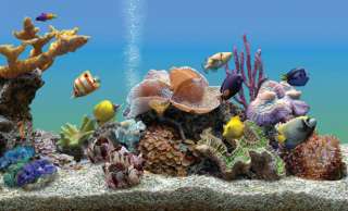 Spread Your Aquarium Across Multiple Monitors Including Widescreen.