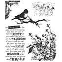 Stampers Anonymous Tim Holtz Cling Rubber Stamp Set   Urban Tapestry 