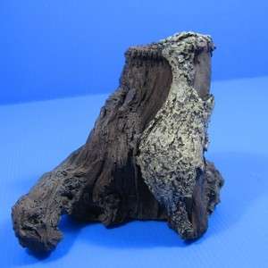 Driftwood trunk Aquarium Ornament root WOOD DECOR #11  