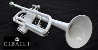   trumpet quality horn complete with case cleaning cloth and valve oil
