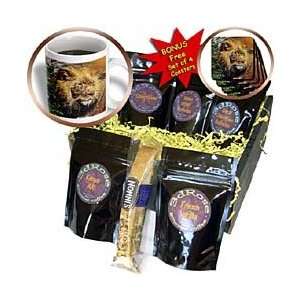   Big Cat Designs   King Leo   Lion Art   Coffee Gift Baskets   Coffee