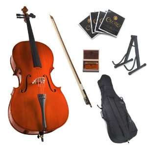   Soft Case, Bow, Rosin, Bridge, Strings and Stand Musical Instruments