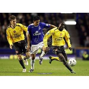 Everton v Arsenal Carling Cup Fourth Round Tim Cahill is challenged by 