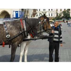  Horse and Carriage in Main Market Square, Old Town 