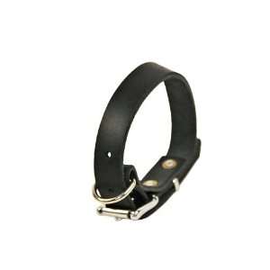 Dean & Tyler Leather Dog Collar B&B   Quality Leather From Europe 