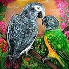 senegal timneh parrot giclee grey green bird painting kristine kasheta