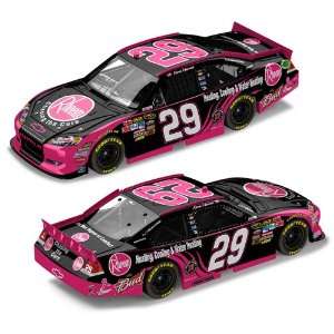 29 Kevin Harvick 2011 Rheem Chasing The Cure Pink 1/64 Nascar Diecast 
