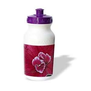   Photography Nature Flowers   Red And White Petunia   Water Bottles