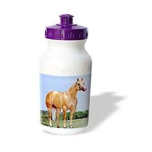  Horse   Palomino Quarter Horse   Water Bottles: Sports 