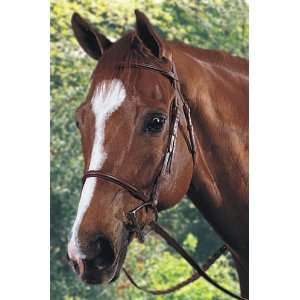   Fancy Raised Bridle with Reins   Autumn   Cob: Sports & Outdoors