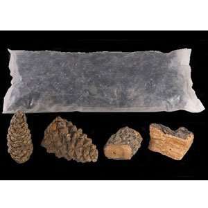  Real Fyre Vented Log Decor Pak With Pine And Lava Coals 
